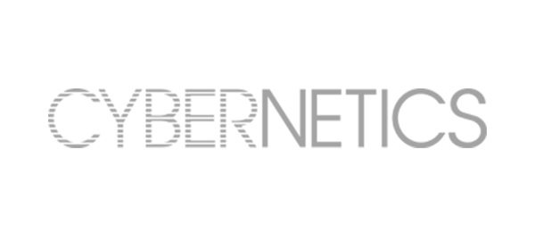 Cybernetics